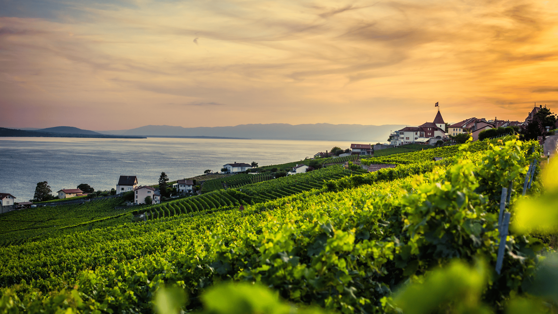 Canton of Vaud : Luxury property