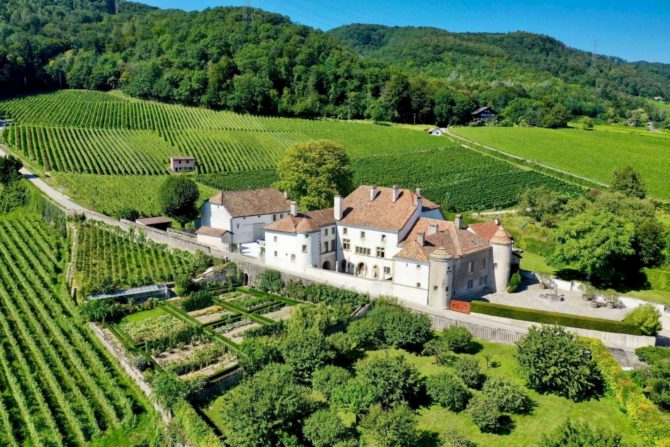 Photo 1 de l'annonce 83301816 - somptueux château du xiiie siècle avec domaine viticole