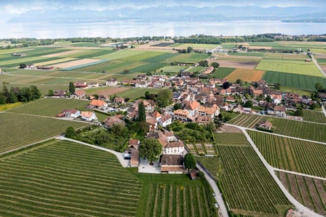 Photo 2 de l'annonce 83301816 - somptueux château du xiiie siècle avec domaine viticole