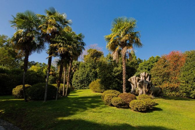 Photo 13 de l'annonce 2187731 - a verbania lac majeur prestigieuse villa d’époque avec parc séculaire et piscine